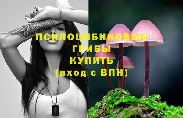 спайс Верея