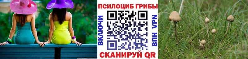 продажа наркотиков  Волчанск  Псилоцибиновые грибы мицелий 